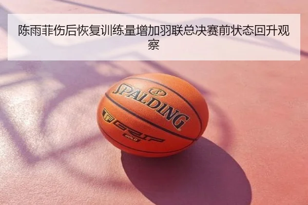 陈雨菲伤后恢复训练量增加羽联总决赛前状态回升观察