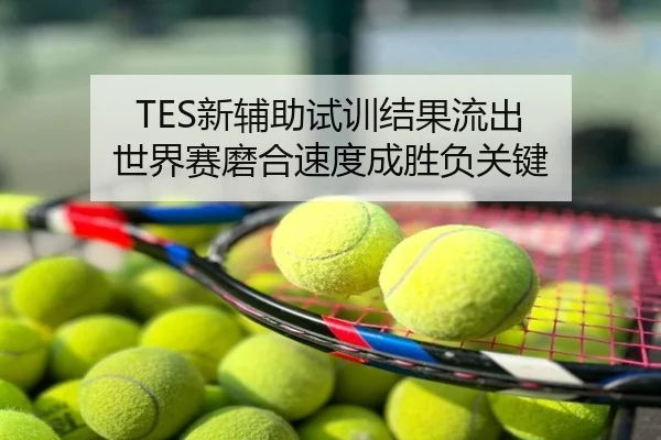 TES新辅助试训结果流出 世界赛磨合速度成胜负关键