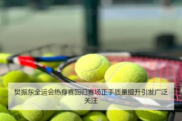 樊振东全运会热身赛回归赛场正手质量提升引发广泛关注